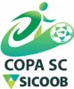 Brazilian Santa Catarina Cup