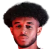 Romal Palmer